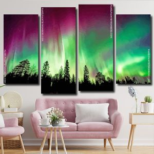 Aurora Borealis Trees Silhouette Panels paint by numbers