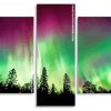 Aurora Borealis Trees Silhouette Panels paint by numbers