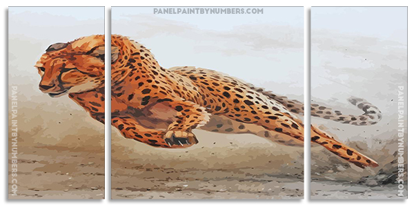 Cheetah Running ppanels paint by numbers