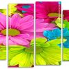 Colorful Flowers Panels paint by numbers