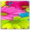 Colorful Flowers panels paint by numbers