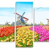 Colorful Tulips Field Panels paint by numbers