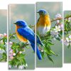 Spring bluebirds