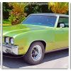 Green Buick Skylark panels paint by numbers