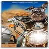 schnauzer And Bulldog panels paint by numbers