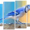 Aestheti Blue Jay panels paint by numbers