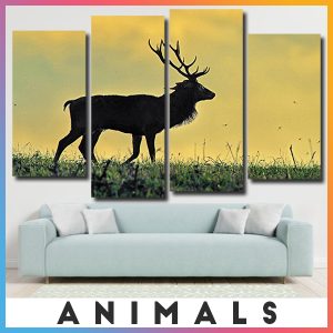 Animals