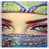 Arabian Eyes Panels paint by numbers