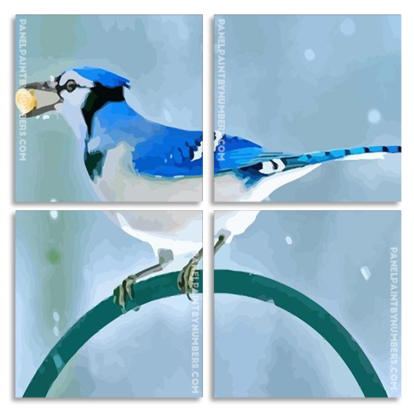 Beautiful Blue Jay panels paint by numbers 