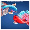 Betta Fighter Fish Panels paint by numbers