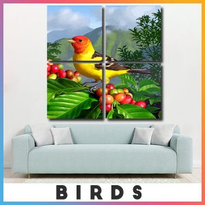 Birds