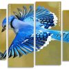 Flying Blue Jay Bird panels paint by numbers