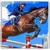 Horse Rider Jumping panels paint by numbers