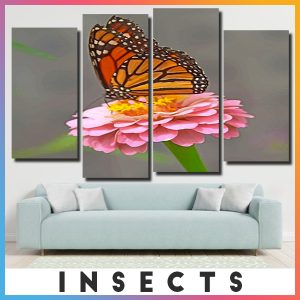 Insects