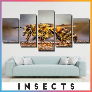 Insects