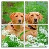 Labrador Retrievers panels paint by numbers