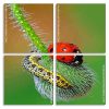 Ladybug Insect panels paint by numbers