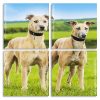 Lurcher Dogs panels paint by numbers