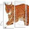 Lynx Cat Panels Paint by numbers