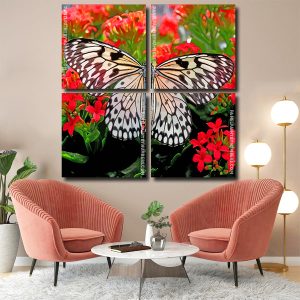 Monarch Butterfly panel paint by numbers