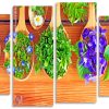 Naturopathy Spoons Panels paint by numbers