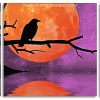 Raven Moonlight panels paint by numbers