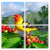 Western Tanager panels paint by numbers