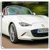 White Mx5 Car panels paint by numbers