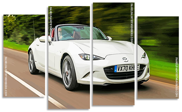 White Mx5 Car panels paint by numbers