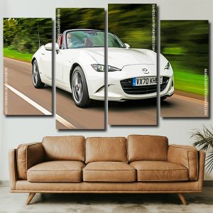 White Mx5 Car panels paint by numbers