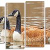 Aesthetic Gooses panels paint by numbers