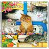 Cute Kitties panels paint by numbers