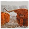 Highland Cows panels paint by numbers