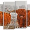 Highland Cows panels paint by numbers