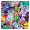 Succulents Plants panels paint by numbers