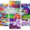 Succulents Plants panels paint by numbers