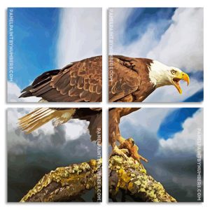 Aesthetic Bald Eagle Panel paint by numbers