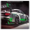 Bentley Racing Car Panels paint by numbers