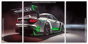 Bentley Racing Car Panels paint by numbers