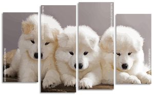 Samoyed Puppies Dogs Panels paint by number