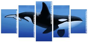 Aesthetic Killer Whale Panel paint by numbers