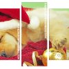 Adorable Sleepy Puppy Panel paint by numbers