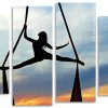 Aerial Ribbon Dancer Silhouette Panel paint by numbers