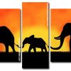 African Elephants Sunset panels paint by numbers