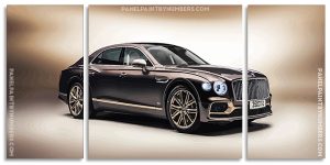 Bentley Flying Spur Mulliner Panels paint by numbers