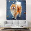 Blonde Pomeranian Dog Panels paint by numbers