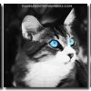 Cat With Blue Eyes Panels paint by numbers