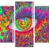 Colorful Trippy Eye Panel paint by numbers