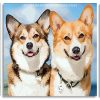 Corgis Puppies panels paint by numbers