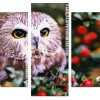 Cute Owl Panels paint by numbers